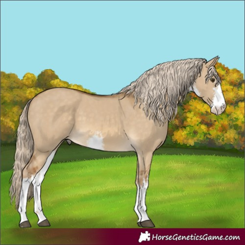 Horse Color:White Spotted Chocolate Palomino Dun 