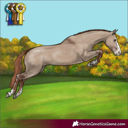 Horse Color:Liver Red Dun Sabino 