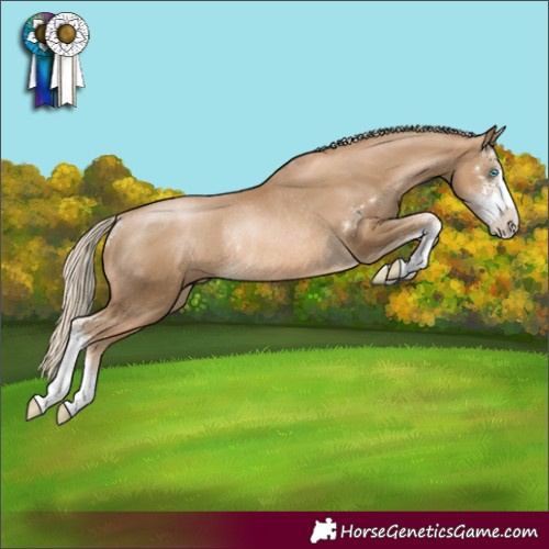 Horse Color:Chocolate Palomino Pearl Sabino Rabicano