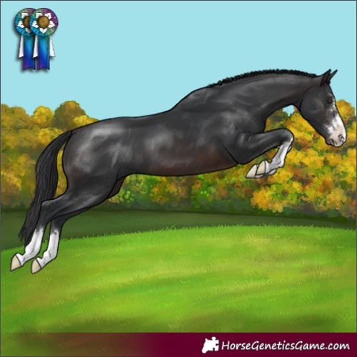 Horse Color:Brown 