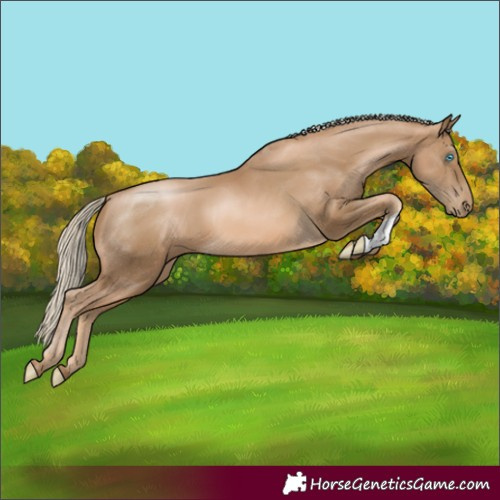 Horse Color:Chocolate Palomino Pearl 