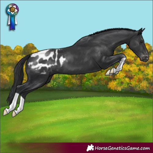 Horse Color:Black Varnish