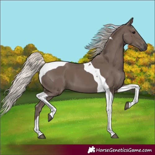 Horse Color:Silver Black Tobiano