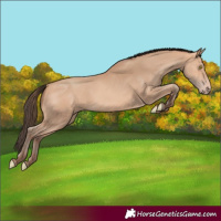 Horse Color:Amber Champagne 