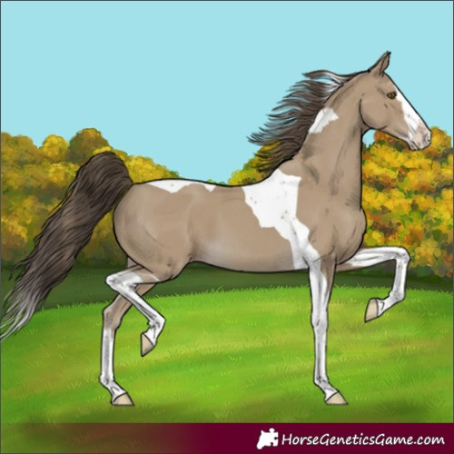 Horse Color:Classic Cream Champagne Sabino Splash Tobiano 