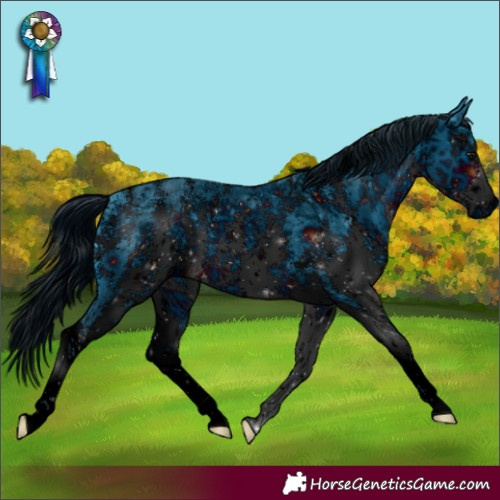 Horse Color:ERROR: UNKNOWN ANOMALY