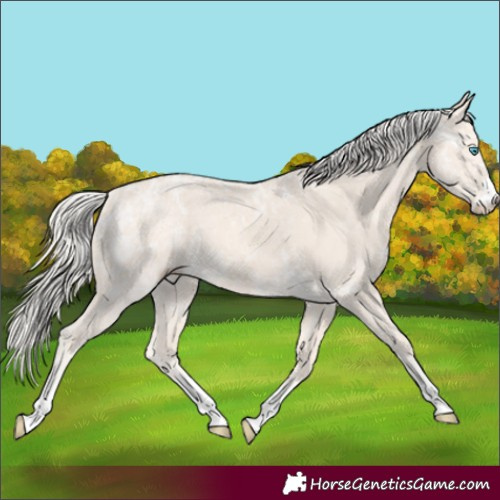 Horse Color:Cremello Ice 