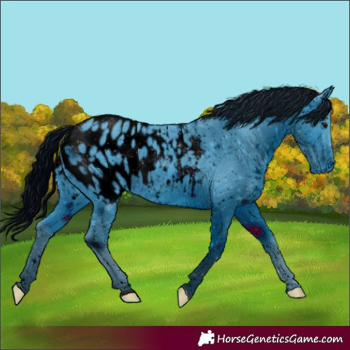 Horse Color:ERROR: UNKNOWN ANOMALY