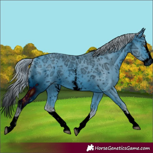 Horse Color:ERROR: UNKNOWN ANOMALY
