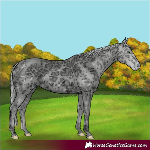 Horse Color:ERROR: UNKNOWN ANOMALY