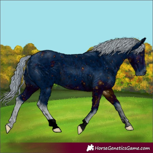 Horse Color:ERROR: UNKNOWN ANOMALY