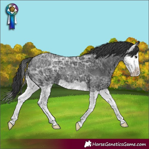 Horse Color:Black Ice Splash 