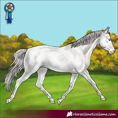 Horse Color:Smoky Creme Ice 
