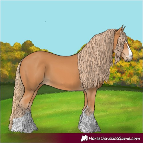Horse Color:Unknown 