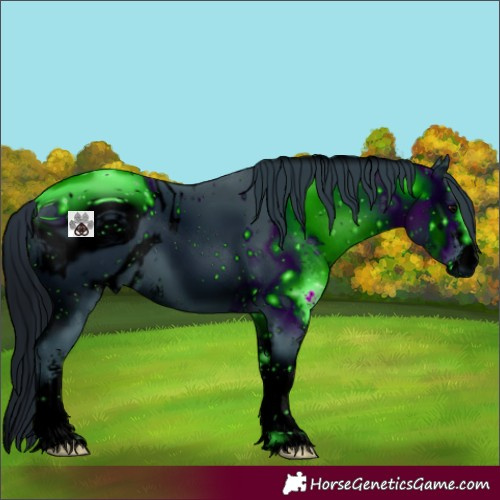 Horse Color:ERROR: UNKNOWN ANOMALY