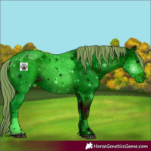 Horse Color:ERROR: UNKNOWN ANOMALY