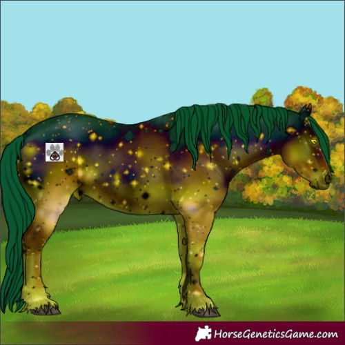 Horse Color:ERROR: UNKNOWN ANOMALY