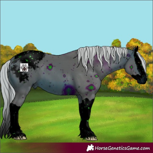 Horse Color:ERROR: UNKNOWN ANOMALY