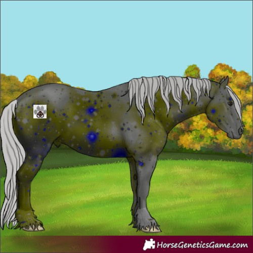 Horse Color:ERROR: UNKNOWN ANOMALY