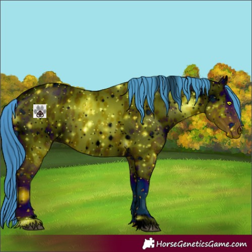 Horse Color:ERROR: UNKNOWN ANOMALY