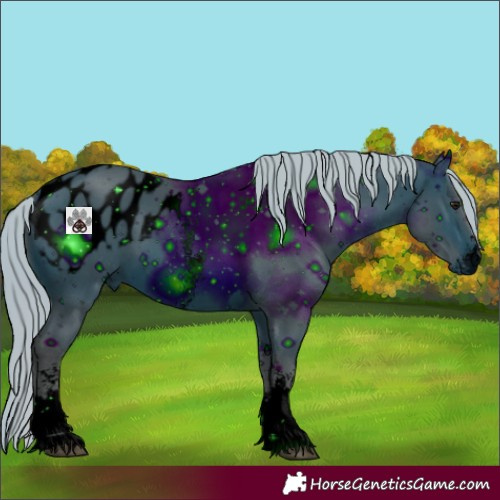 Horse Color:ERROR: UNKNOWN ANOMALY