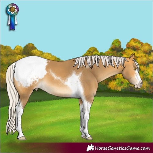 Horse Color:Silver Buckskin Tobiano Varnish 