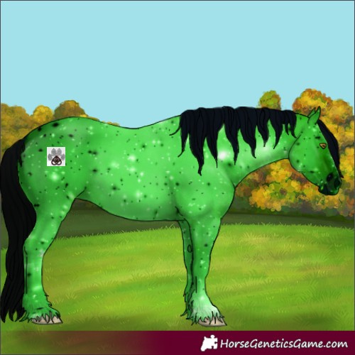 Horse Color:ERROR: UNKNOWN ANOMALY