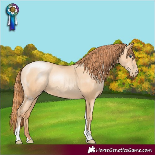 Horse Color:Amber Champagne Pearl Tobiano Rabicano