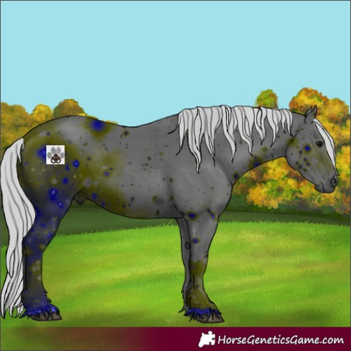 Horse Color:ERROR: UNKNOWN ANOMALY