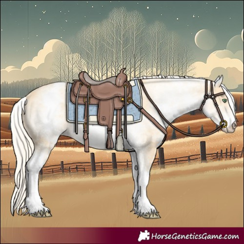 Horse Color:White Spotted Gold Cream Champagne 