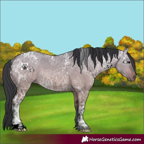 Horse Color:Bay Ice Dun 