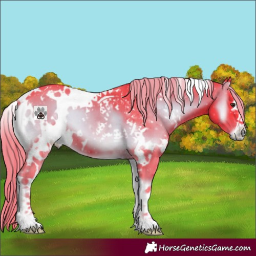 Horse Color:Watercolor White Spotted Liver Red Onyx