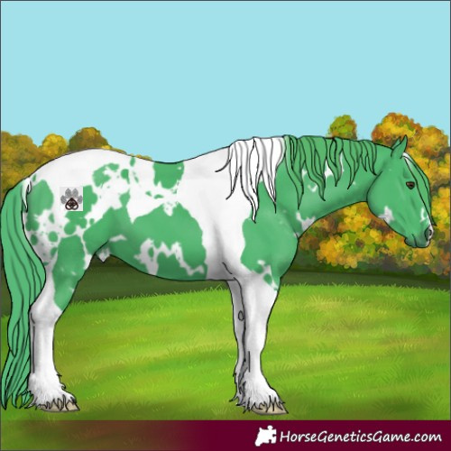 Horse Color:Watercolor White Spotted Liver Chestnut Tobiano