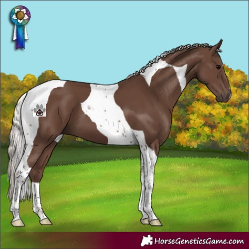 Horse Color:Silver Black Tobiano