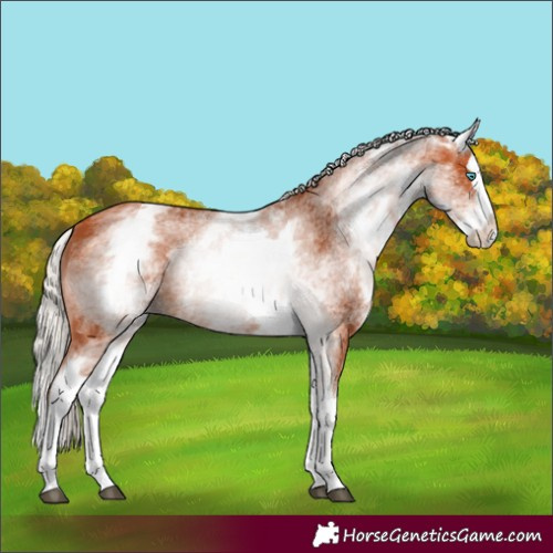 Horse Color:White Spotted Silver Bay Splash