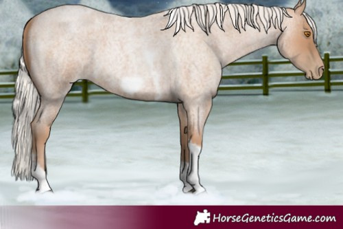 Horse Color:Silver Blue Roan Pearl Tobiano Frame 