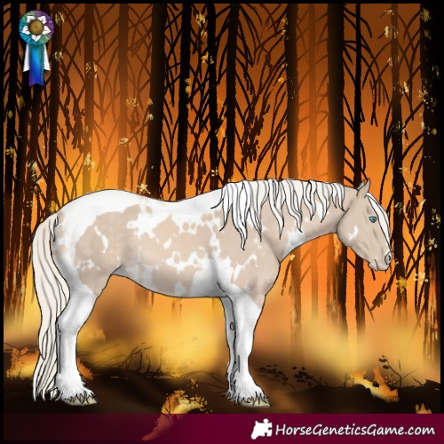 Horse Color:White Spotted Cremello Mushroom Tobiano Varnish 