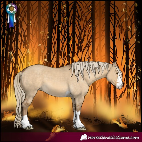 Horse Color:Chocolate Palomino Dun Mushroom 