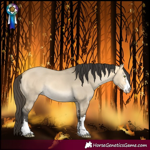 Horse Color:Buckskin Dun Mushroom