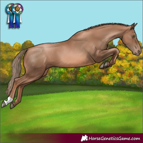 Horse Color:Liver Chestnut Pearl