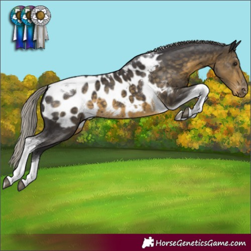 Horse Color:Silver Smoky Black Tobiano Blanket 