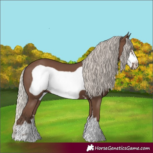 Horse Color:Silver Black Frame 