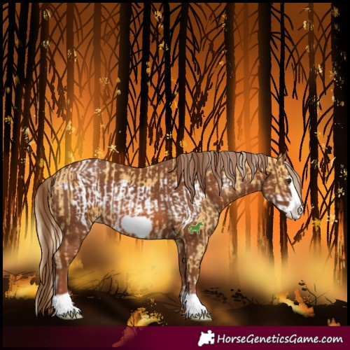 Horse Color:Palomino Frame Varnish and Chestnut Frame