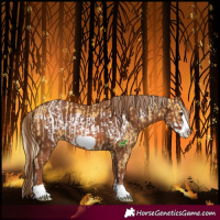 Horse Color:Palomino Frame Varnish and Chestnut Frame