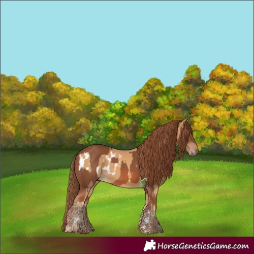 Horse Color:Chestnut Blanket and Chestnut