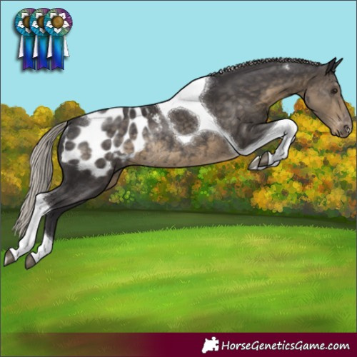 Horse Color:Silver Smoky Black Tobiano Blanket Rabicano 