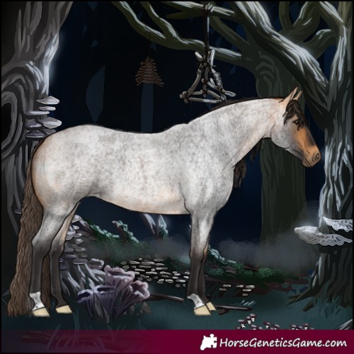 Horse Color:Buckskin Roan 