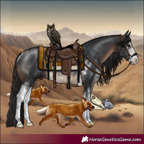 Horse Color:Brown Sabino Rabicano 