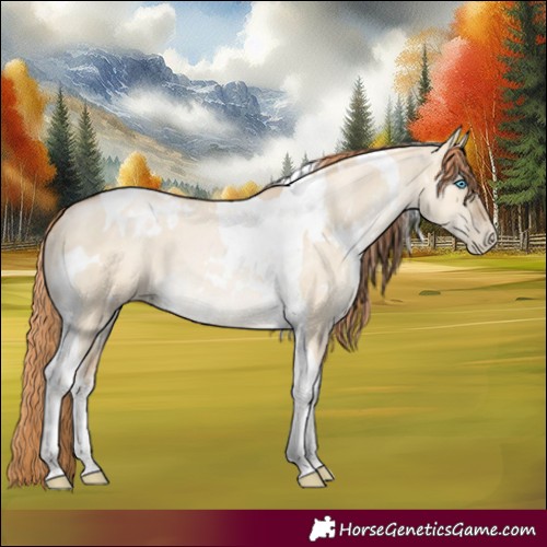 Horse Color:White Spotted Buckskin Pearl Dun Tobiano 
