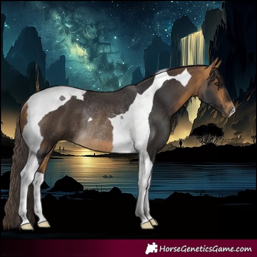 Horse Color:Buckskin Tobiano Rabicano 